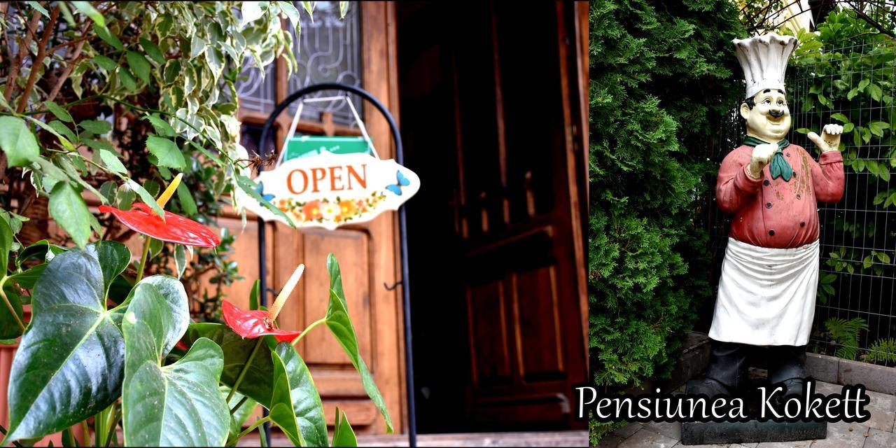 Pension Kokett Campulung Exterior foto