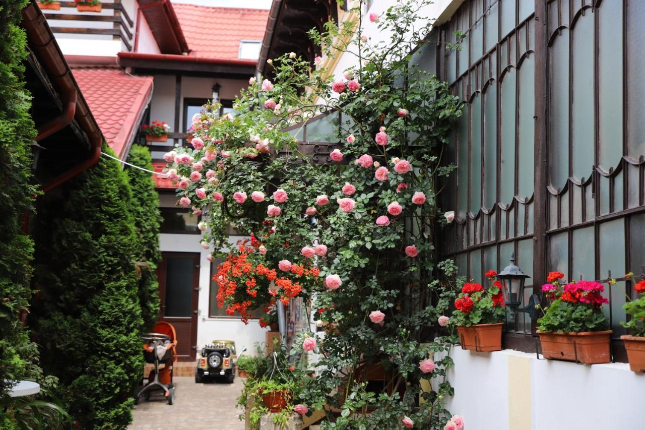 Pension Kokett Campulung Exterior foto